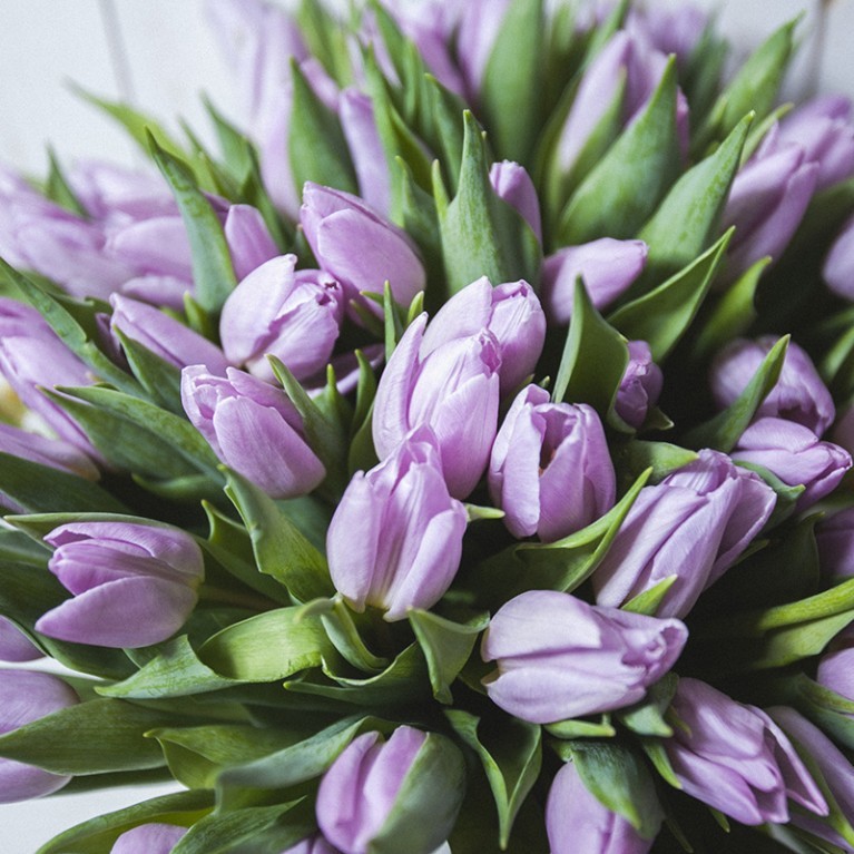 IMG 7339 767x767